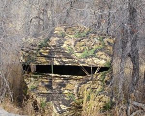 the-Best-Hunting-Blind