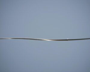 fluorocarbon line